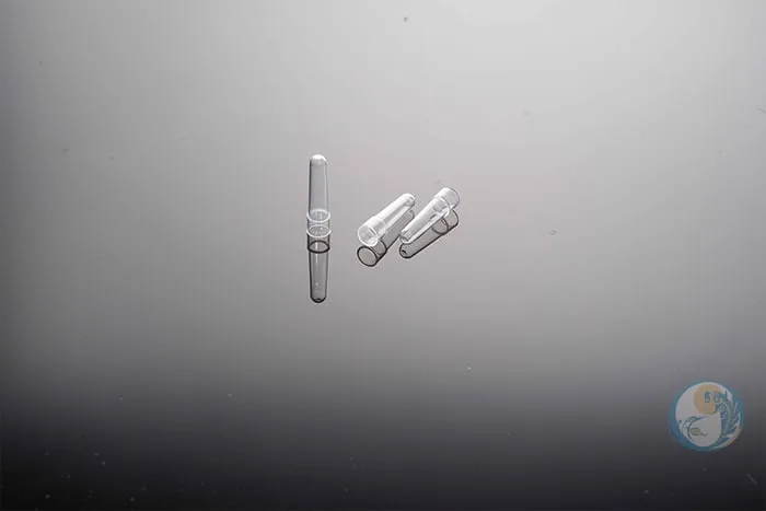 罗氏化学发光 TIP&CUP 2