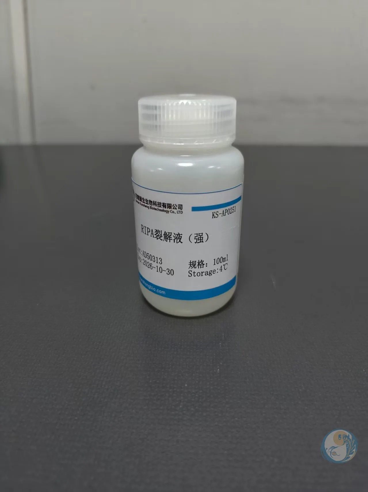 RIPA裂解液（强）