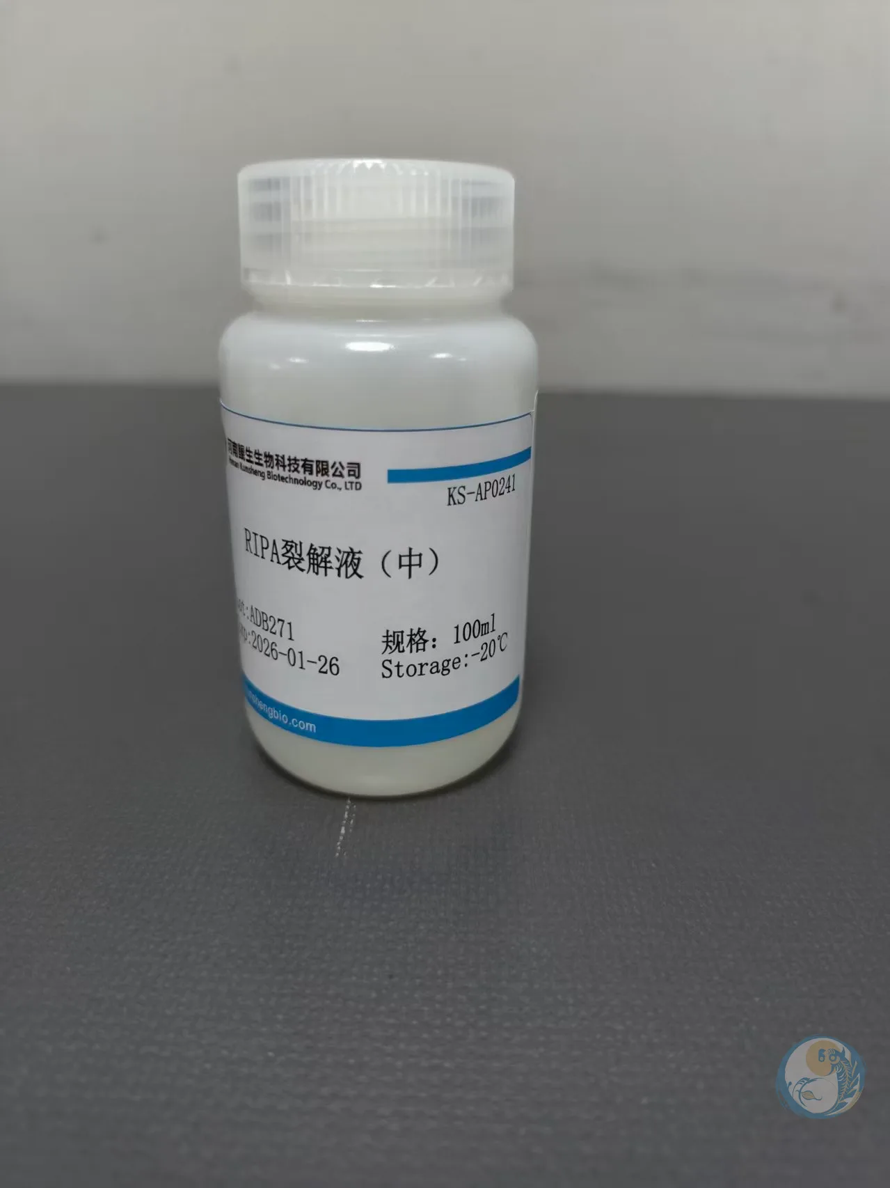 RIPA裂解液（中）