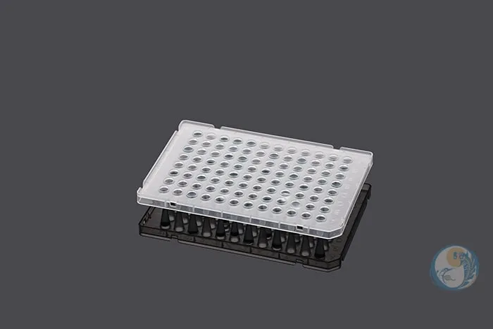 PCR 96孔板 2